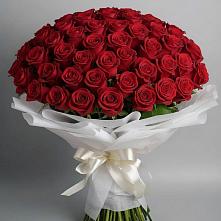Букет 101 Красная роза Блэк Мэджик в Долгоруково