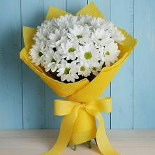 Букет цветов из:  Хризантемы в Долгоруково