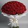 Букет 101 Красная роза Блэк Мэджик в Долгоруково