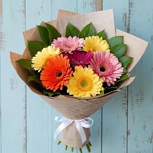 Букет цветов из:  Герберы в Долгоруково