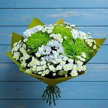 Букет цветов из:  Хризантемы #REPLACE_PRED# Долгоруково