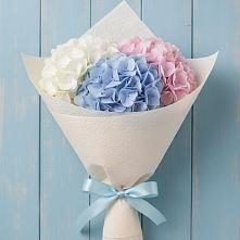 Букет цветов из:  Гортензия в Долгоруково