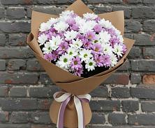 Букет цветов из:  Хризантемы в Долгоруково