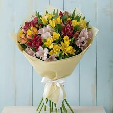 Букет цветов из:  Альстромерии в Долгоруково