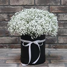 Цветочная композиция из Гипсофила в шляпной коробке #REPLACE_PRED# Долгоруково