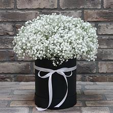Цветочная композиция из Гипсофила в шляпной коробке в Долгоруково