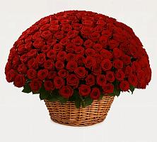 Премиум букет из: Розы #REPLACE_PRED# Долгоруково