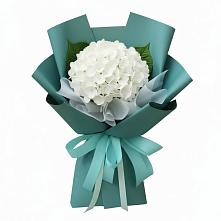 Букет цветов из:  Гортензия в Долгоруково
